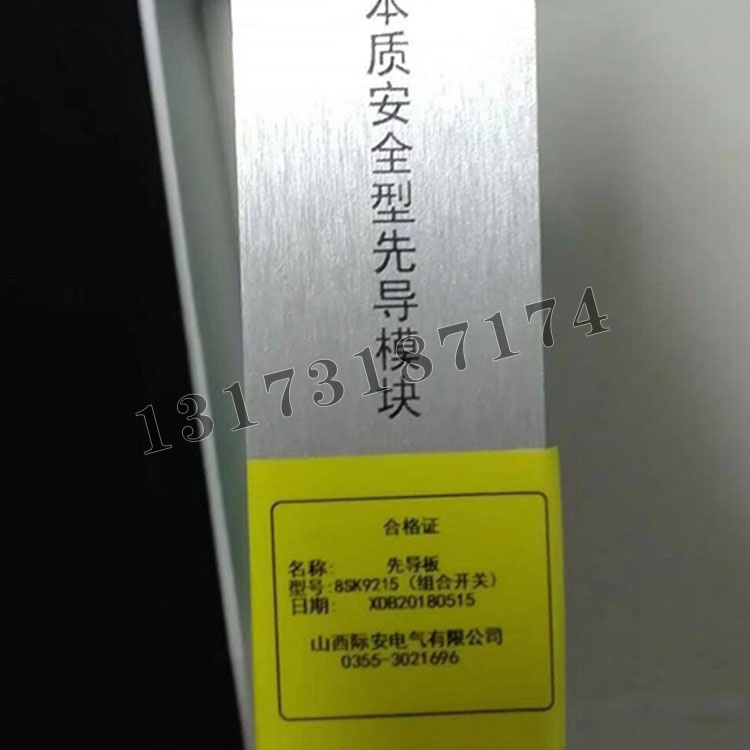 山西際安先導(dǎo)板8SK9215本質(zhì)**型先導(dǎo)模塊（組合開(kāi)關(guān)）-1.jpg